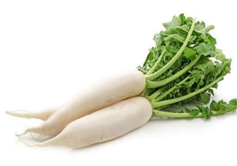 Daikon Radish Growing factory